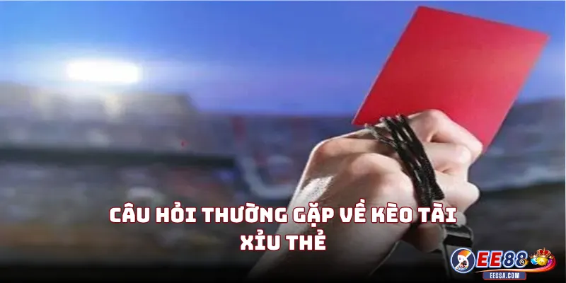 Kèo Tài Xỉu Thẻ Bóng Đá: Đọc Đúng Mới Thắng Được 3 Câu Hỏi Thường Gặp Về Kèo Tài Xỉu Thẻ