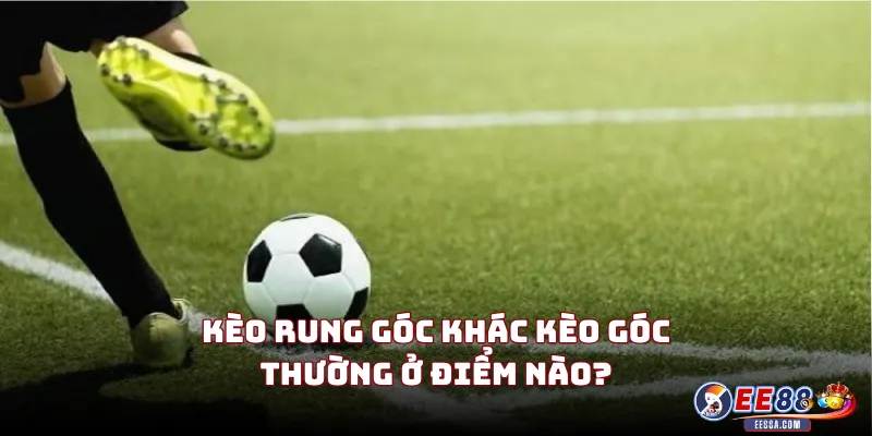 Kèo Rung Góc Khác Kèo Góc Thường Ở Điểm Nào?
